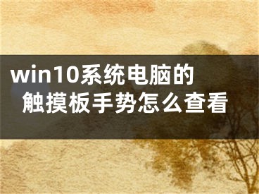 win10系统电脑的触摸板手势怎么查看