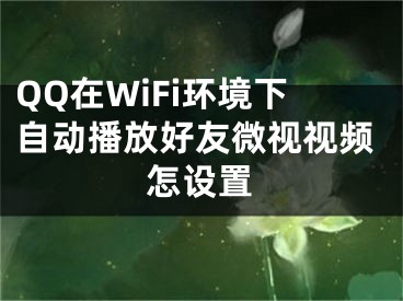 QQ在WiFi环境下自动播放好友微视视频怎设置
