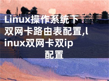Linux操作系统下双网卡路由表配置,linux双网卡双ip配置