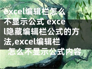 excel编辑栏怎么不显示公式 excel隐藏编辑栏公式的方法,excel编辑栏怎么不显示公式内容