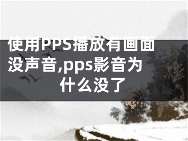 使用PPS播放有画面没声音,pps影音为什么没了