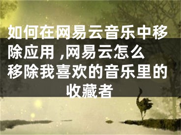 如何在网易云音乐中移除应用 ,网易云怎么移除我喜欢的音乐里的收藏者