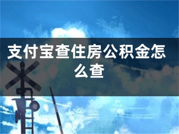 支付宝查住房公积金怎么查