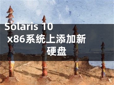 Solaris 10 x86系统上添加新硬盘