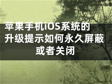 苹果手机iOS系统的升级提示如何永久屏蔽或者关闭