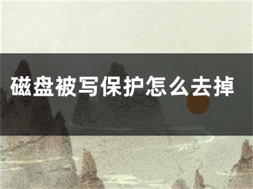 磁盘被写保护怎么去掉