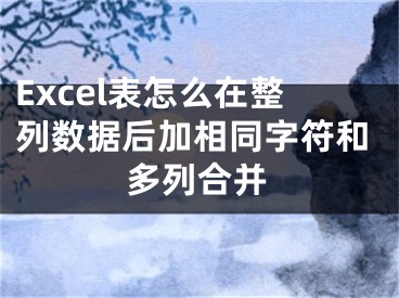Excel表怎么在整列数据后加相同字符和多列合并
