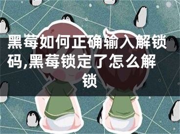 黑莓如何正确输入解锁码,黑莓锁定了怎么解锁