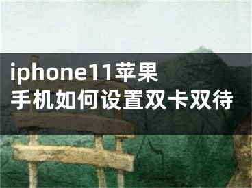 iphone11苹果手机如何设置双卡双待