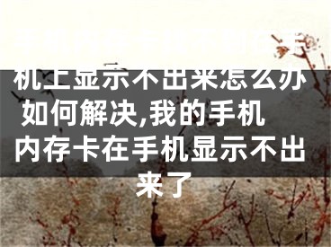 手机内存卡找不到在手机上显示不出来怎么办 如何解决,我的手机内存卡在手机显示不出来了