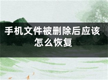 手机文件被删除后应该怎么恢复