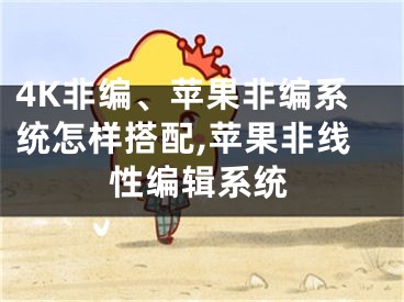 4K非编、苹果非编系统怎样搭配,苹果非线性编辑系统
