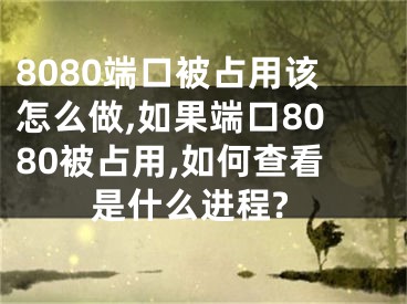 8080端口被占用该怎么做,如果端口8080被占用,如何查看是什么进程?