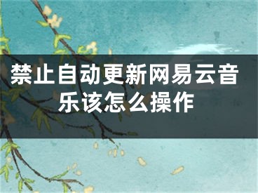 禁止自动更新网易云音乐该怎么操作