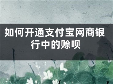 如何开通支付宝网商银行中的赊呗