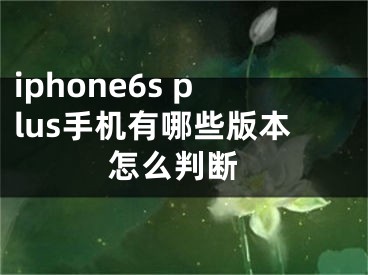 iphone6s plus手机有哪些版本 怎么判断