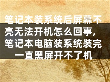 笔记本装系统后屏幕不亮无法开机怎么回事,笔记本电脑装系统装完一直黑屏开不了机
