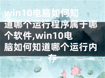 win10电脑如何知道哪个运行程序属于哪个软件,win10电脑如何知道哪个运行内存