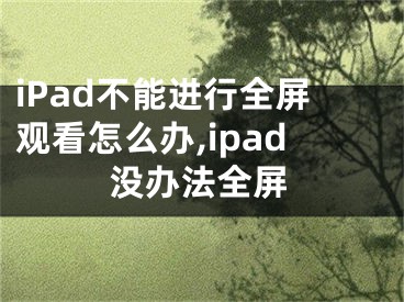 iPad不能进行全屏观看怎么办,ipad没办法全屏