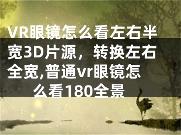 VR眼镜怎么看左右半宽3D片源，转换左右全宽,普通vr眼镜怎么看180全景
