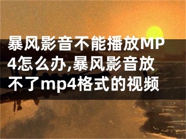 暴风影音不能播放MP4怎么办,暴风影音放不了mp4格式的视频