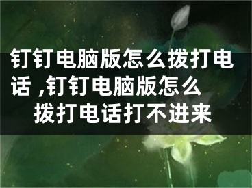 钉钉电脑版怎么拨打电话 ,钉钉电脑版怎么拨打电话打不进来