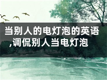 当别人的电灯泡的英语,调侃别人当电灯泡