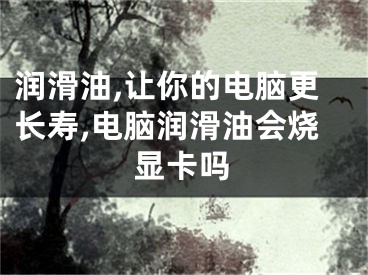 润滑油,让你的电脑更长寿,电脑润滑油会烧显卡吗