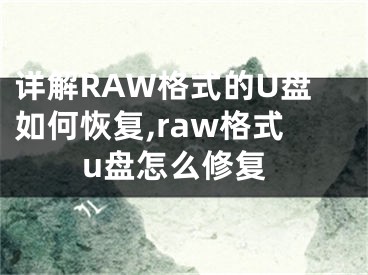 详解RAW格式的U盘如何恢复,raw格式u盘怎么修复
