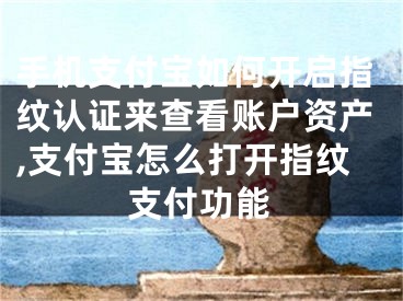 手机支付宝如何开启指纹认证来查看账户资产,支付宝怎么打开指纹支付功能