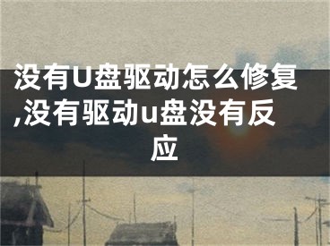没有U盘驱动怎么修复,没有驱动u盘没有反应
