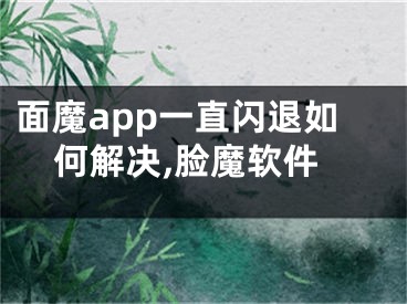 面魔app一直闪退如何解决,脸魔软件