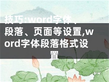 技巧:word字体、段落、页面等设置,word字体段落格式设置
