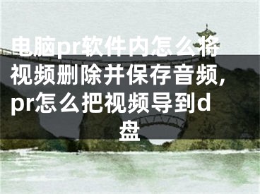 电脑pr软件内怎么将视频删除并保存音频,pr怎么把视频导到d盘