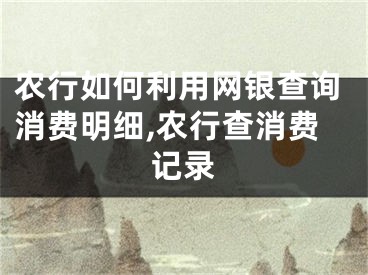 农行如何利用网银查询消费明细,农行查消费记录