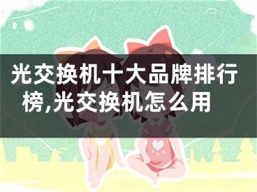 光交换机十大品牌排行榜,光交换机怎么用