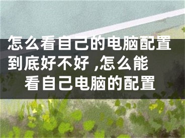 怎么看自己的电脑配置到底好不好 ,怎么能看自己电脑的配置