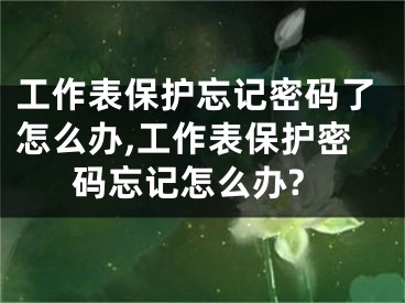 工作表保护忘记密码了怎么办,工作表保护密码忘记怎么办?