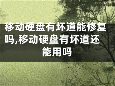移动硬盘有坏道能修复吗,移动硬盘有坏道还能用吗