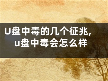 U盘中毒的几个征兆,u盘中毒会怎么样