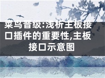 菜鸟晋级:浅析主板接口插件的重要性,主板接口示意图