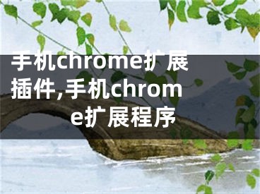 手机chrome扩展插件,手机chrome扩展程序