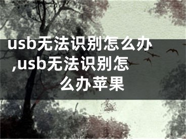 usb无法识别怎么办 ,usb无法识别怎么办苹果