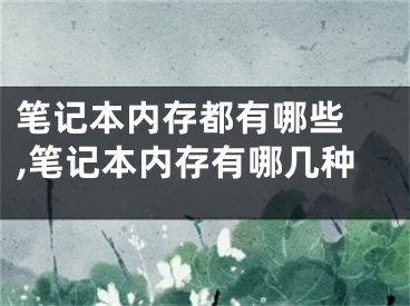 笔记本内存都有哪些 ,笔记本内存有哪几种