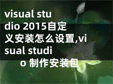 visual studio 2015自定义安装怎么设置,visual studio 制作安装包