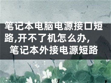 笔记本电脑电源接口短路,开不了机怎么办,笔记本外接电源短路