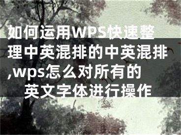 如何运用WPS快速整理中英混排的中英混排,wps怎么对所有的英文字体进行操作