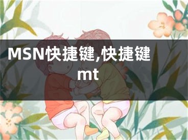 MSN快捷键,快捷键mt