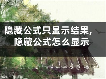 隐藏公式只显示结果,隐藏公式怎么显示