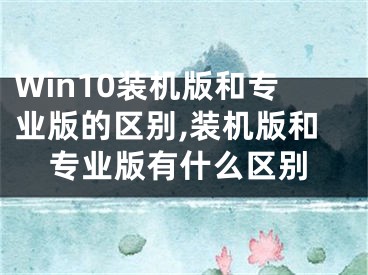 Win10装机版和专业版的区别,装机版和专业版有什么区别